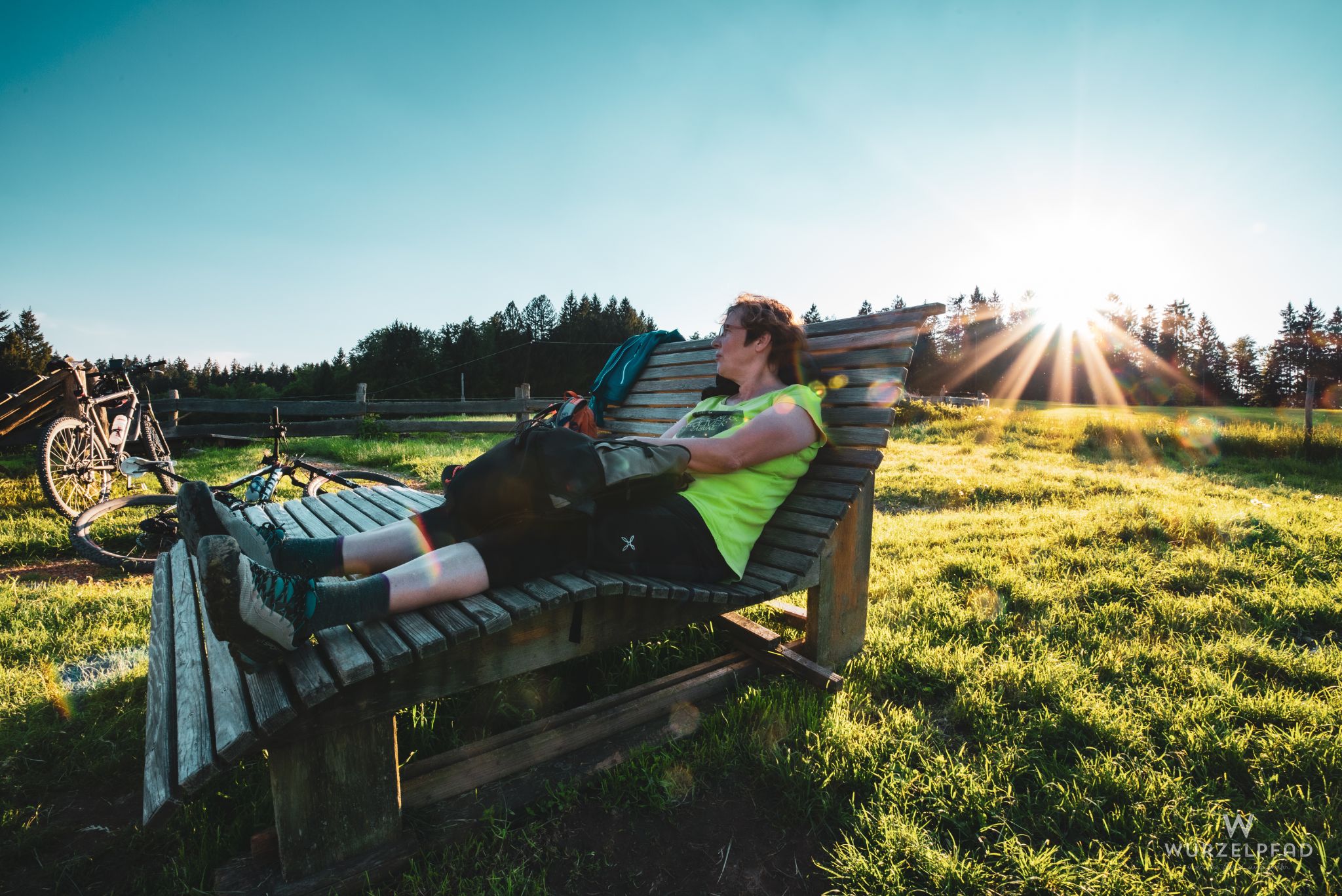 Abendsonne am Taubenberg
